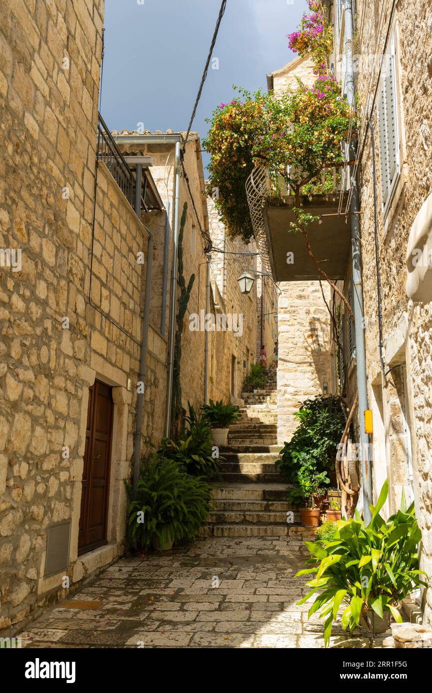 Croazia Isola di Hvar città vecchia vicolo stretto gradini ripidi su Cittadella piante balcone case Foto Stock