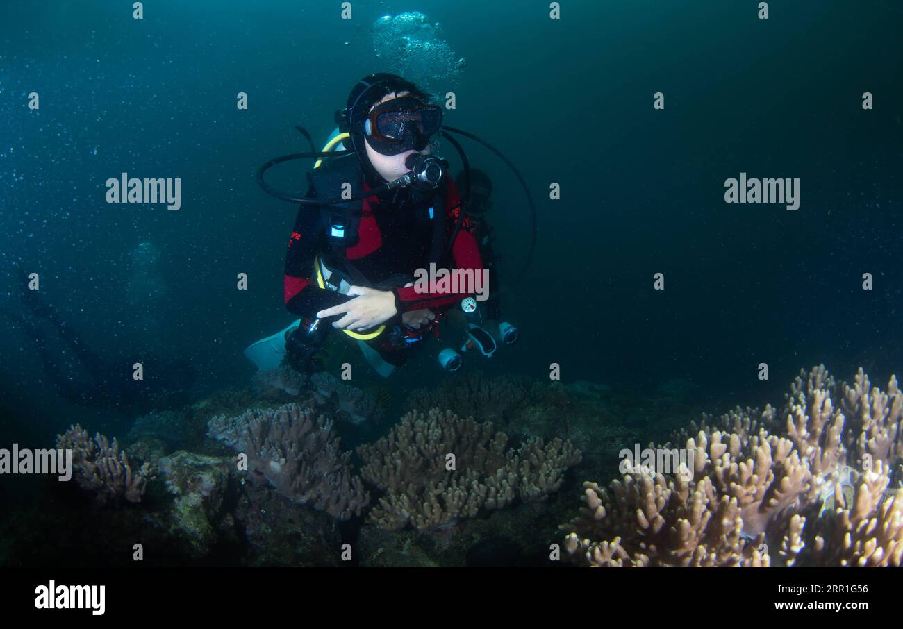 200917 -- PECHINO, 17 settembre 2020 -- immersioni Fang Jianze vicino all'isola di Wuzhizhou nella provincia di Hainan nella Cina meridionale, 30 agosto 2020. Il 22enne Fang Jianze è nato con la distrofia muscolare EDMD Emery-Dreifuss, una rara malattia muscolare che lentamente causa debolezza alle spalle, alle braccia e ai vitelli. La vita confinata su una sedia a rotelle non è quello che vuole. Vuole oltrepassare i confini e arrivare lontano. Ha provato a paracadutismo lo scorso giugno e ha ottenuto una certificazione handicappata Scuba Association questo agosto. Ha realizzato il suo sogno di immersione sull'isola di Wuzhizhou, un resort subacqueo top in Cina e ha creato un nuovo bes personale Foto Stock