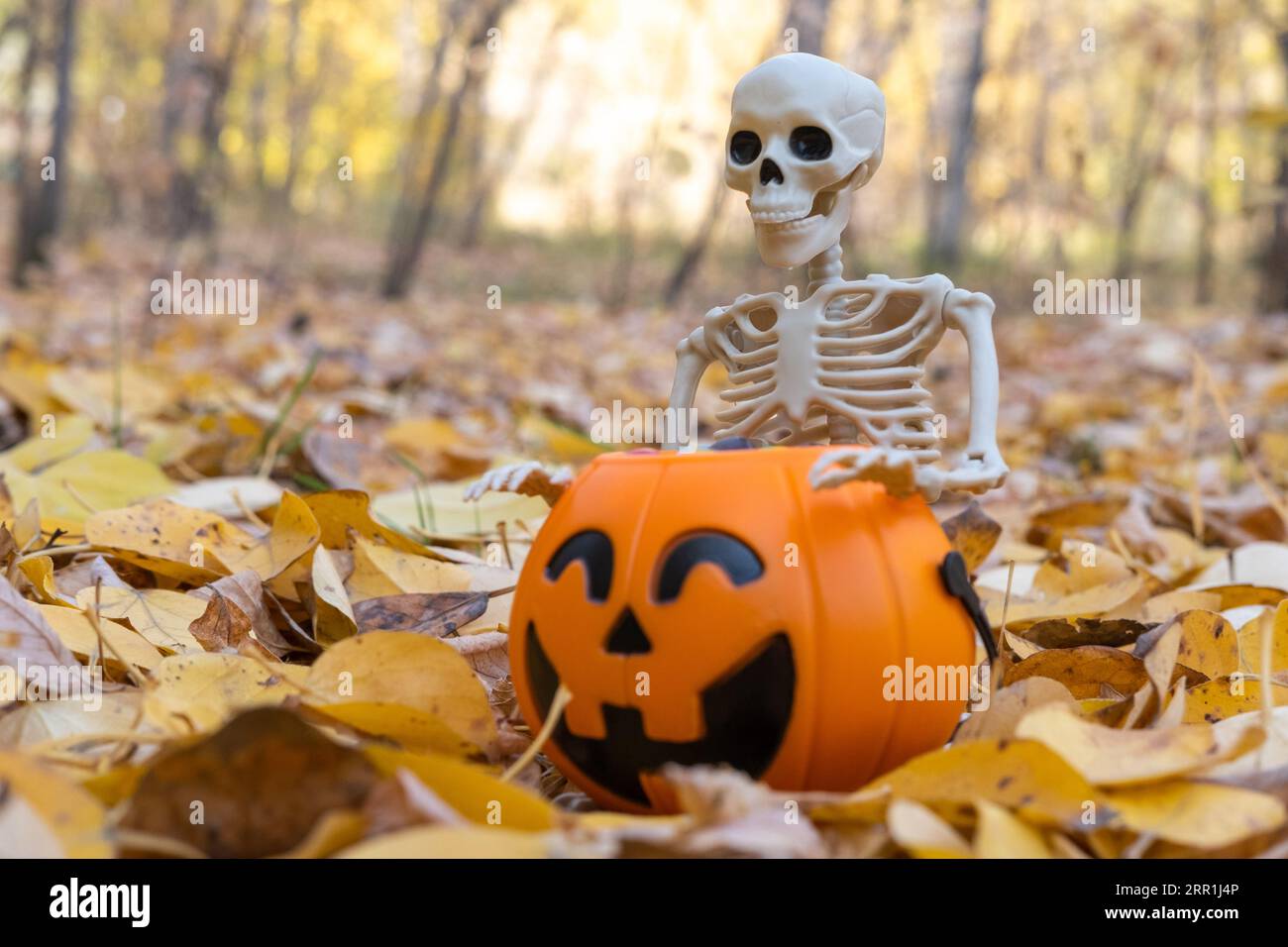 Comin Decorazioni gonfiabili per Halloween, 1,8 m, per esterni, con LED integrati, decorazione per interni, giardino, prato