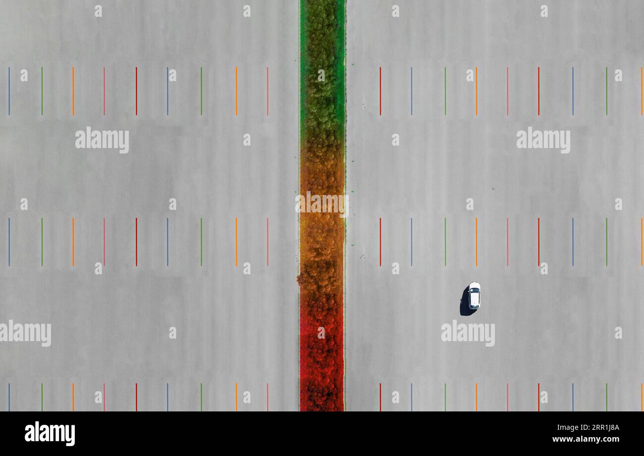 Un'automobile che si muove lungo l'autostrada colorata in vari colori autunnali. Sfarzo durante il concetto autunnale. Foto Stock