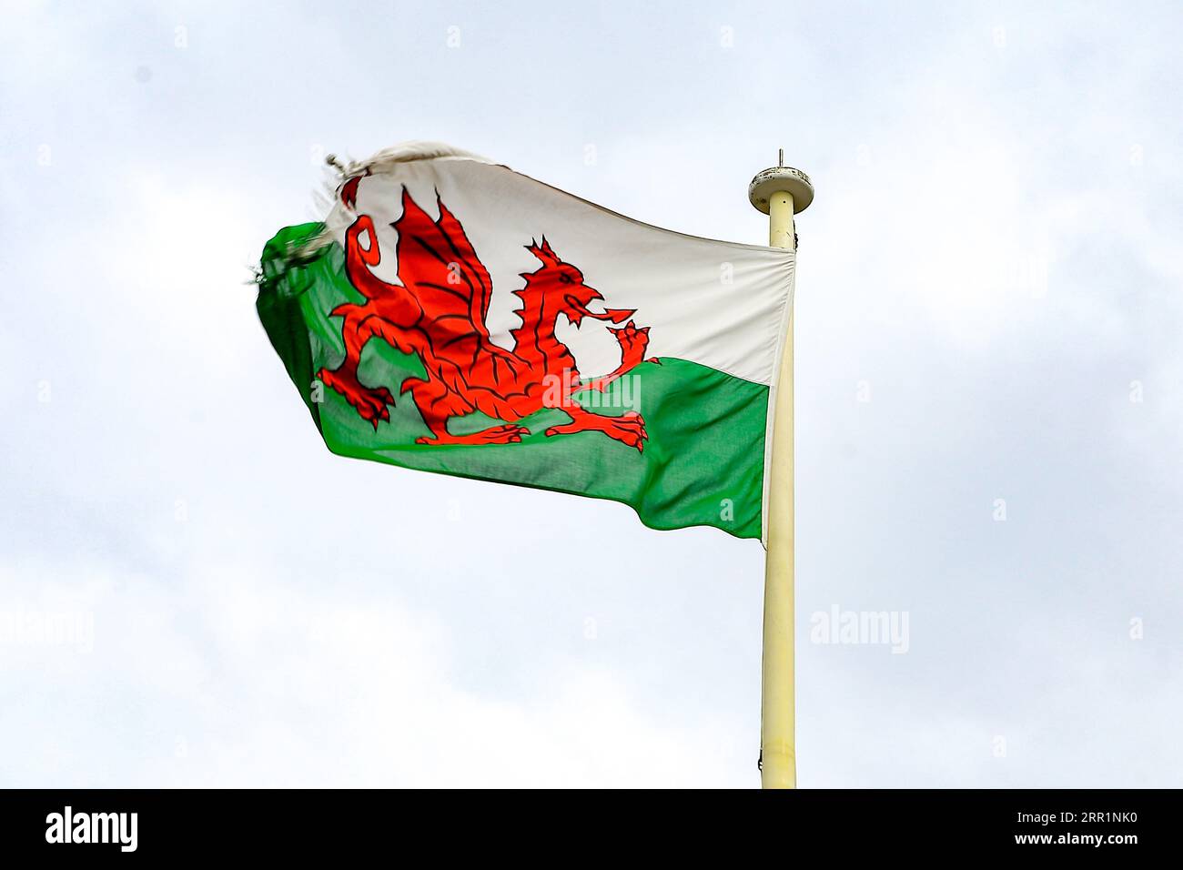 CAERNARFON, GRAN BRETAGNA - 14 SETTEMBRE 2014: Questa è la bandiera del Galles che fluttua nel vento. Foto Stock