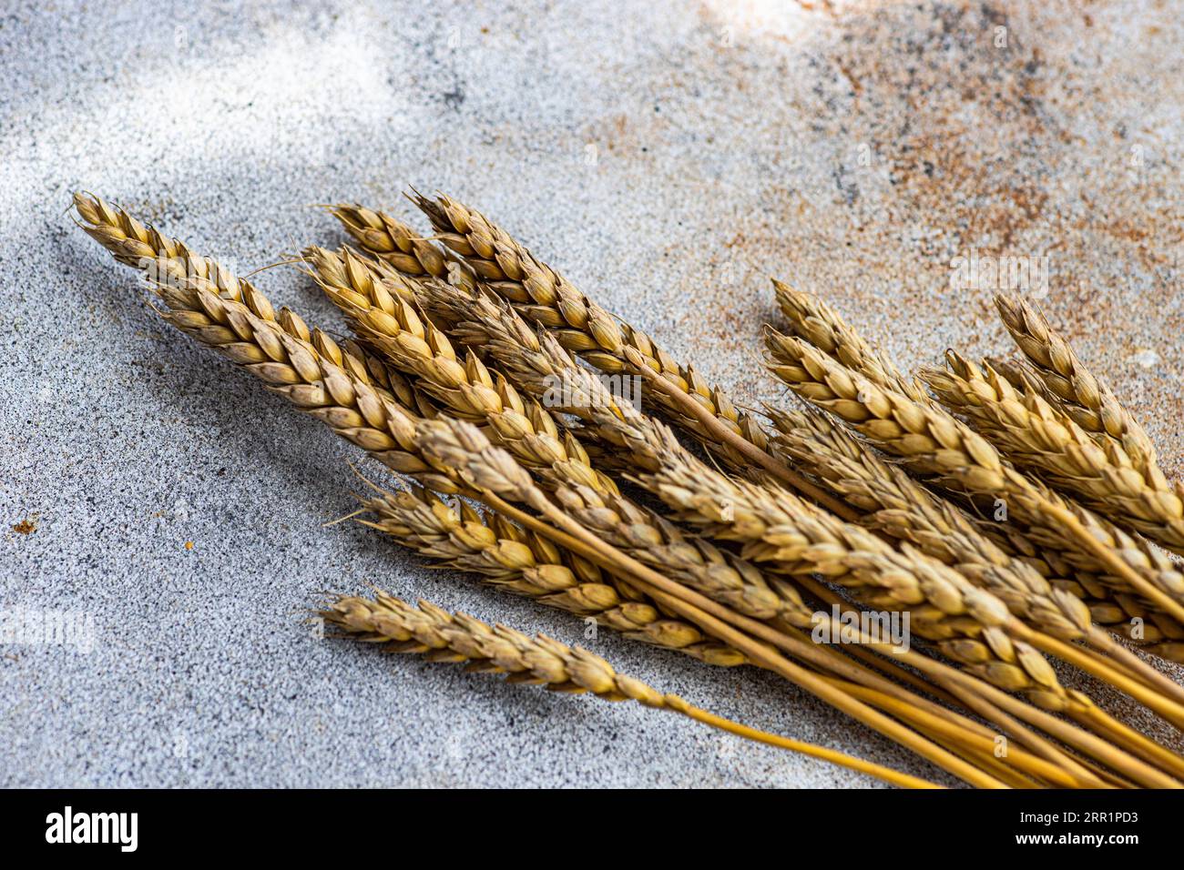 Angolo alto della tavola estiva con il grano contro la tavola grigia Foto Stock