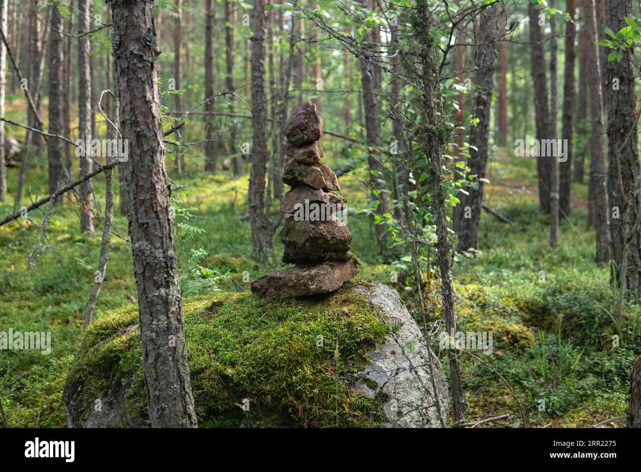 piccolo cairn, una piramide di pietre in una foresta di conifere Foto Stock
