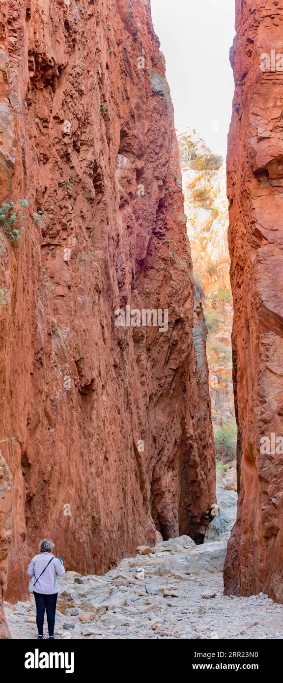 Lo Standley Chasm o Angkerle Atwatye, in lingua locale Arrernte, è una gola larga 3 metri e alta 80 metri nella West MacDonnell Ranges, NT, Australia Foto Stock