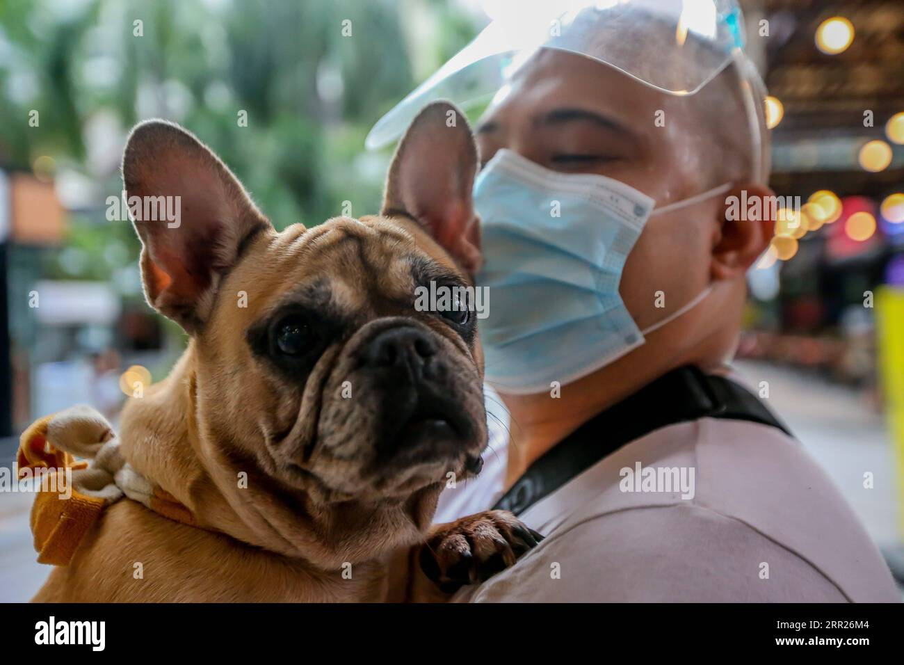 201004 -- MANILA, 4 ottobre 2020 -- Un cane domestico è trasportato da un uomo mentre guarda una benedizione di un animale domestico drive-thru a Manila, nelle Filippine, il 4 ottobre 2020. La benedizione degli animali domestici drive-thru si svolge in mezzo alla pandemia di COVID-19 per celebrare la giornata mondiale degli animali che si celebra ogni anno il 4 ottobre. FILIPPINE-MANILA-WORLD ANIMAL-DRIVE-THRU PET BLESSING ROUELLEXUMALI PUBLICATIONXNOTXINXCHN Foto Stock