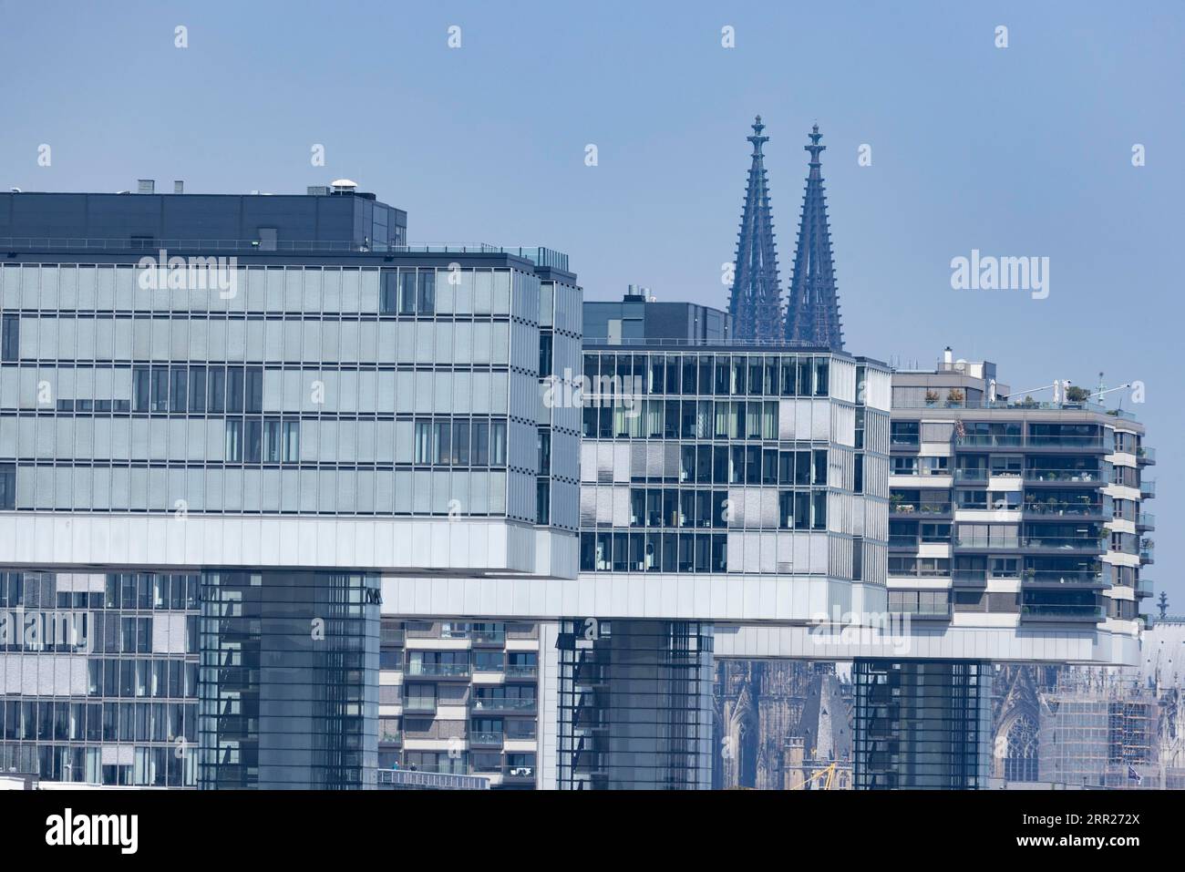 Le 3 gru nel porto Rheinauhafen di Colonia, di fronte alla cattedrale di Colonia, architettura moderna e antica, Colonia, Renania settentrionale-Vestfalia Foto Stock