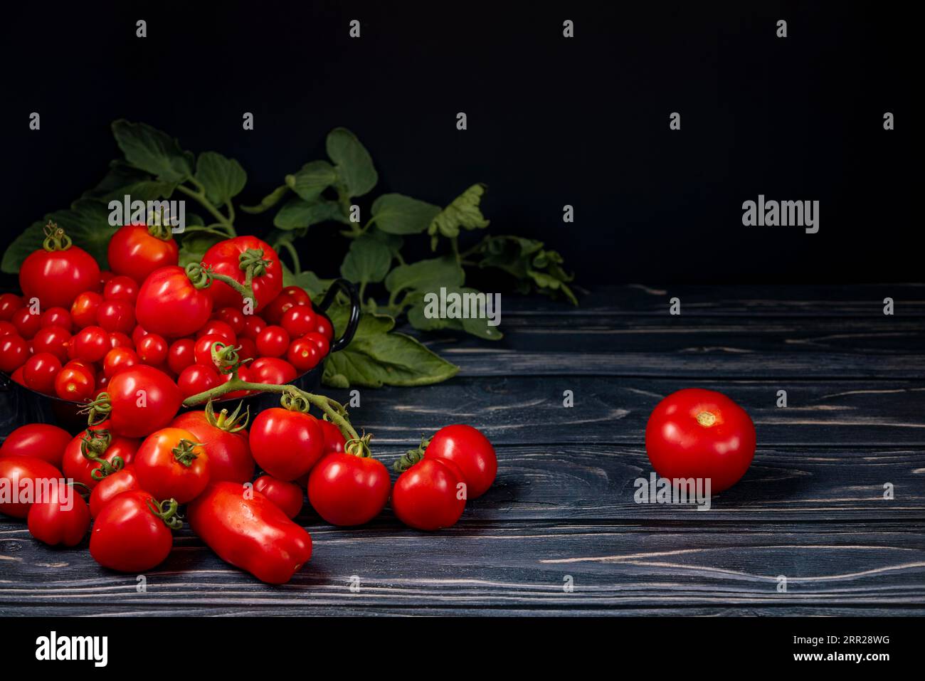 Varie varietà di pomodori all'interno e davanti al vaso nero su legno, foglie di pomodoro, sala copia, buio Foto Stock