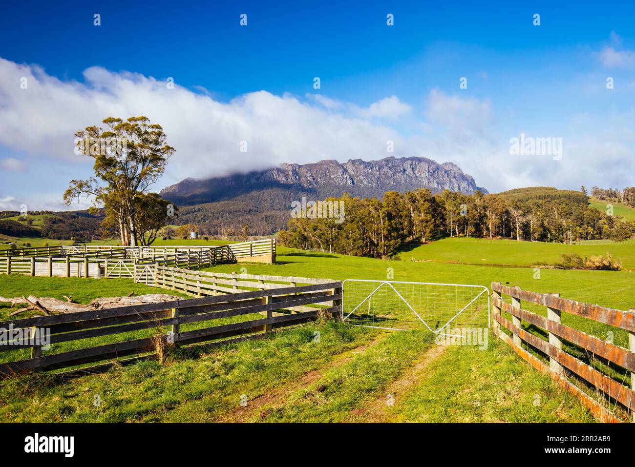 Lo splendido Monte Roland nel centro della Tasmania ona, una fresca giornata primaverile soleggiata vicino alla città di Sheffield, in Tasmania Australia Foto Stock