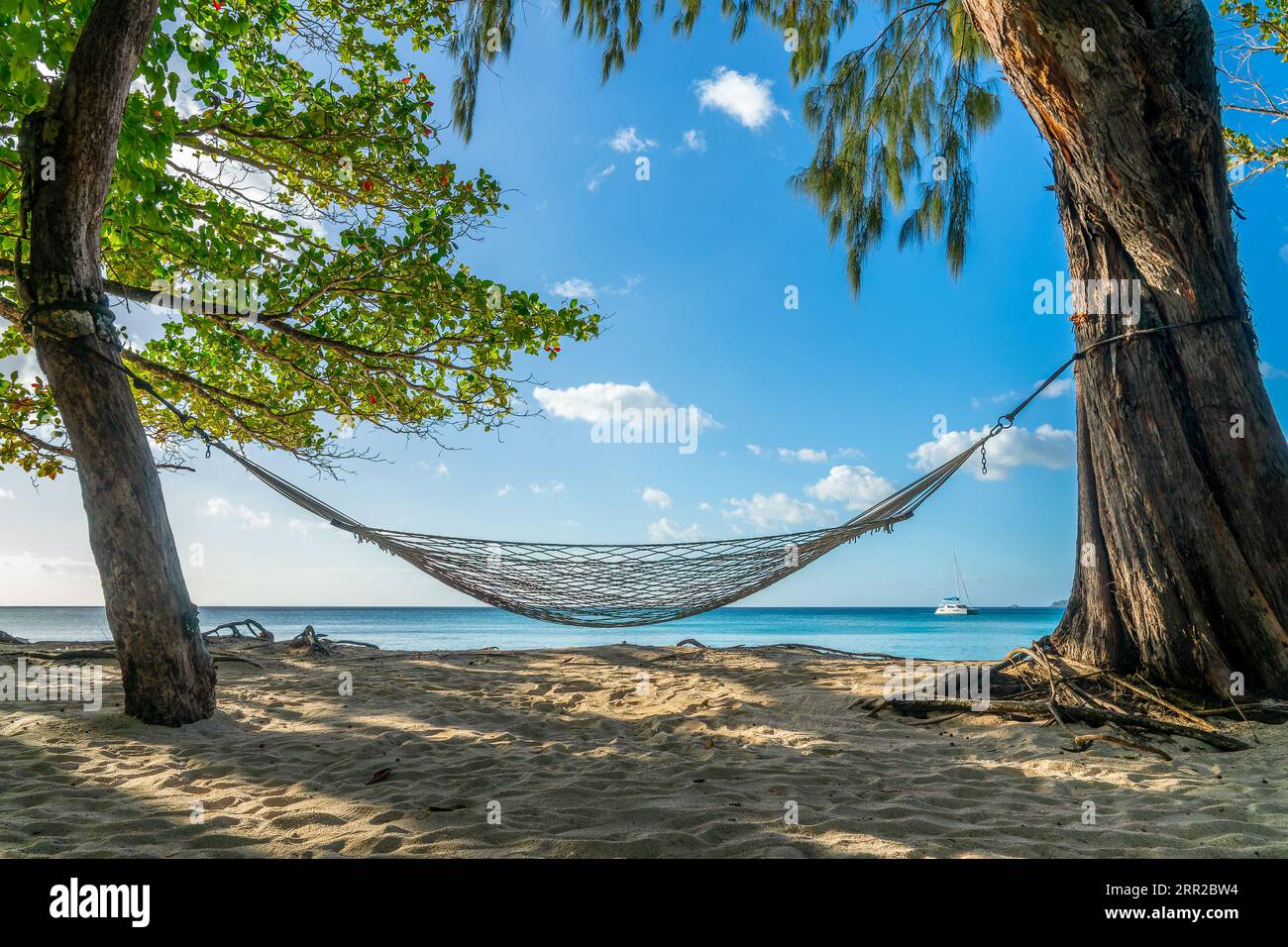 Amaca sotto gli alberi nella spiaggia di sabbia di Beau Vallon, paesaggio tropicale nell'isola di Mahé, Seychelles Foto Stock