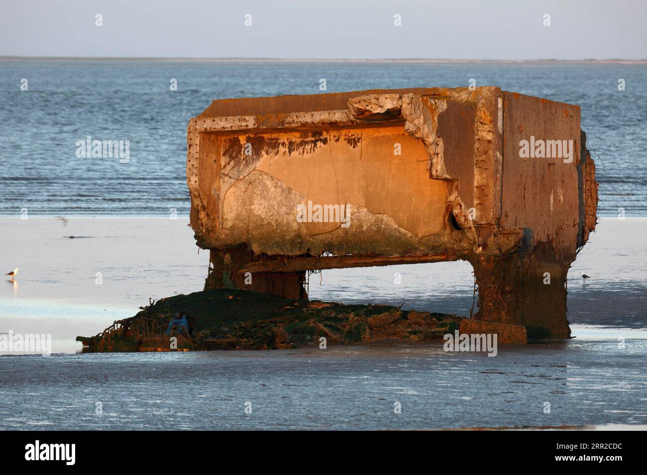 Resti di un bunker della seconda guerra mondiale sull'isola di Minsener Oog, bassa Sassonia Wadden Sea National Park, bassa Sassonia, Germania Foto Stock