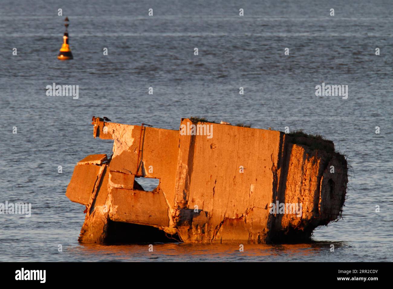 Resti di un bunker della seconda guerra mondiale sull'isola di Minsener Oog, bassa Sassonia Wadden Sea National Park, bassa Sassonia, Germania Foto Stock