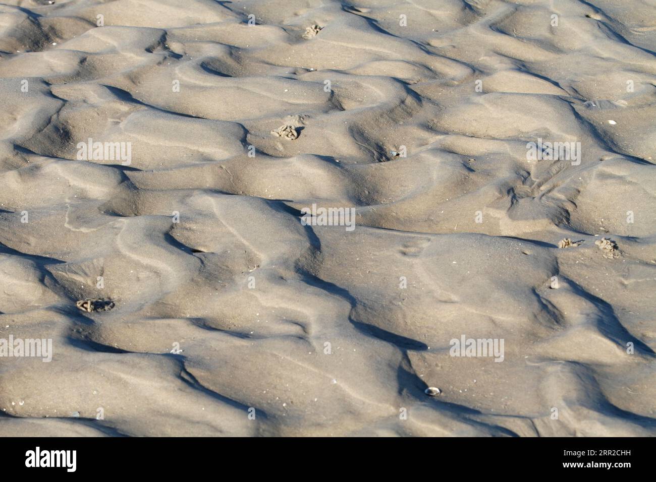 Segni di ondulazione nelle distese fangose al largo dell'isola Minsener Oog, bassa Sassonia Wadden Sea National Park, bassa Sassonia, Germania Foto Stock