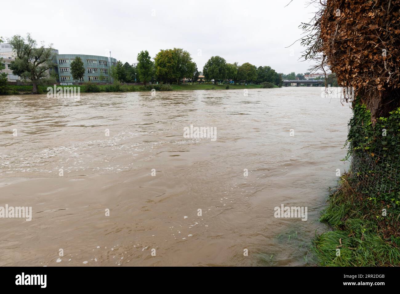 Alluvione, Danubio, Ulma, Baden-Wuerttemberg, Germania Foto Stock