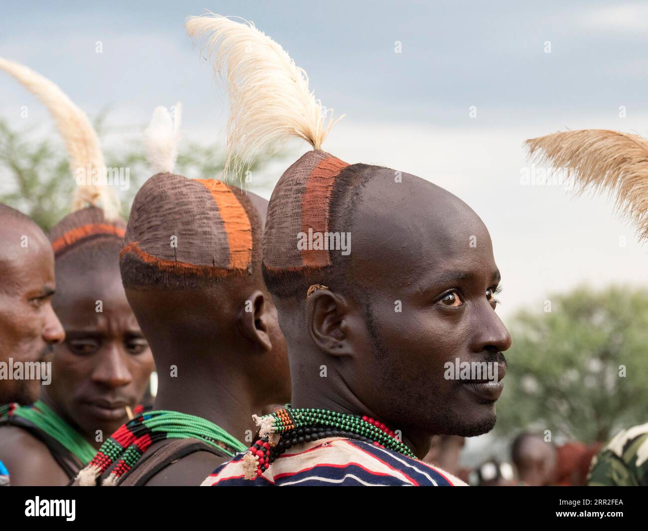 Uomini con i copricapi della tribù Hamar, ritratto, regione di Omo, Etiopia Foto Stock
