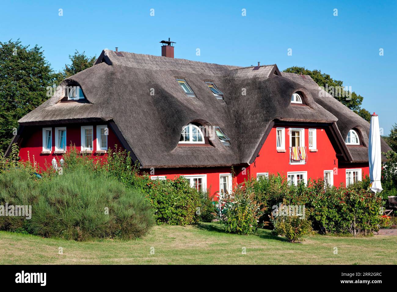 Casa di campagna rossa con tetto in paglia, isola di Ruegen, Mar Baltico Foto Stock