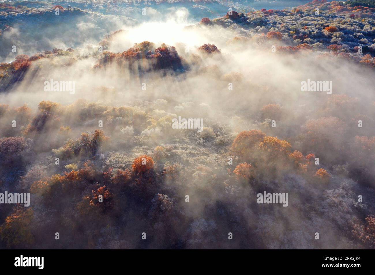 China, Herbstimpressionen aus dem Daqinggou Naturreservat 201013 -- TONGLIAO, 13 ottobre 2020 -- foto aerea scattata il 12 ottobre 2020 mostra lo scenario autunnale della riserva nazionale di Daqinggou a Horqin ala sinistra bandiera posteriore della regione autonoma della Mongolia interna della Cina settentrionale. CHINA-INNER MONGOLIA-HORQIN-SCENOGRAFIA CN LIUXYIDE PUBLICATIONXNOTXINXCHN Foto Stock