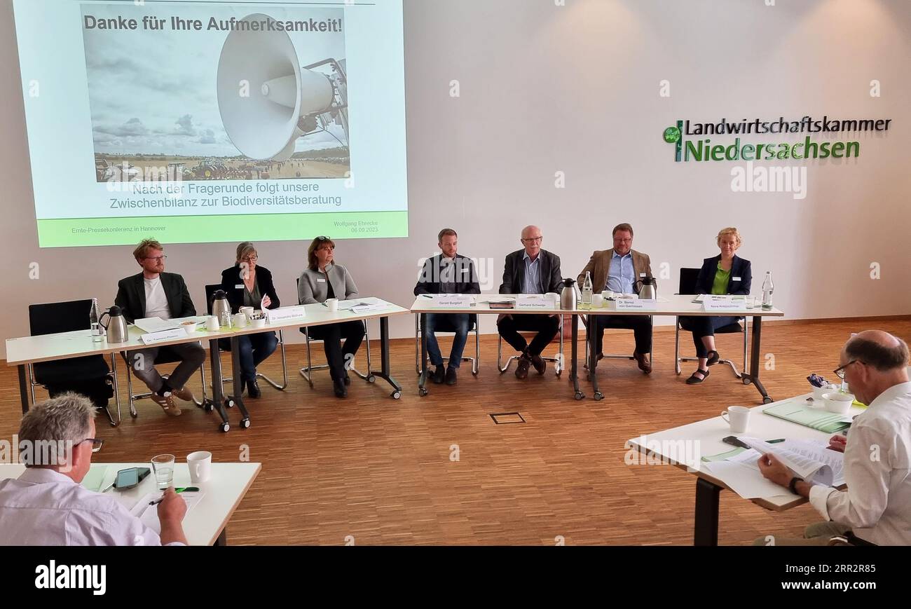 6 settembre 2023, bassa Sassonia, Hannover: Tammo Peters (l-r), Christian-Albrechts-Universität zu Kiel, Alexandra Wichura, Stephanie Stöver-Cordes, Gerald Burgdorf, tutta la camera dell'Agricoltura della bassa Sassonia, Gerhard Schwetje, presidente della camera dell'Agricoltura della bassa Sassonia, Bernd von Garmissen, direttore della camera dell'Agricoltura della bassa Sassonia, e Nora Kretzschmar, anch'essa della camera dell'Agricoltura della bassa Sassonia, partecipano a una conferenza stampa sui risultati del raccolto 2023. Secondo le stime iniziali, il raccolto di cereali di ben 5,2 milioni di tonnellate è inferiore di poco al 10% Foto Stock
