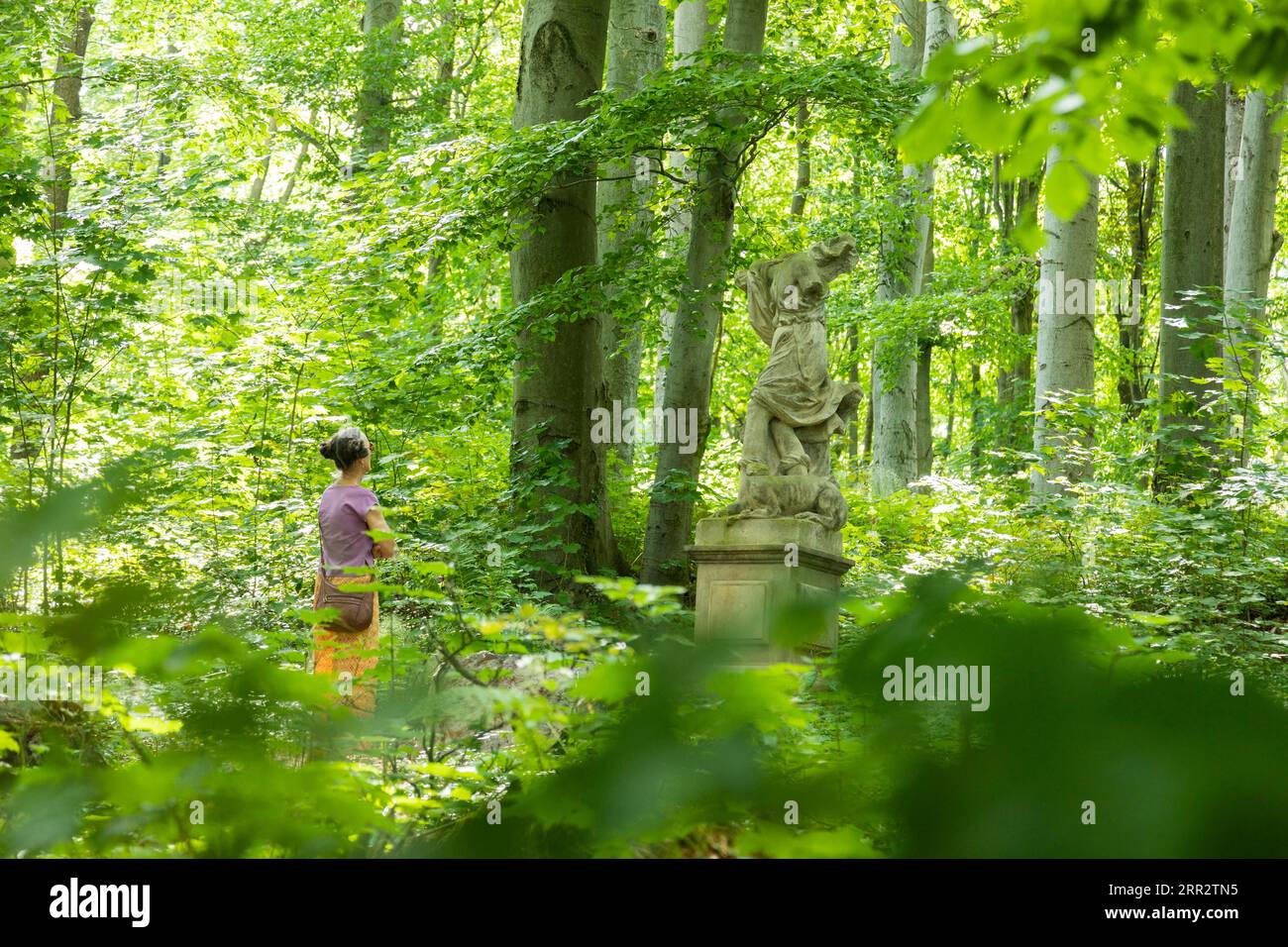 Naundorf è un distretto della città sassone di Dippoldiswalde nel distretto di Saechsische Schweiz-Osterzgebirge. Il parco paesaggistico con il Foto Stock