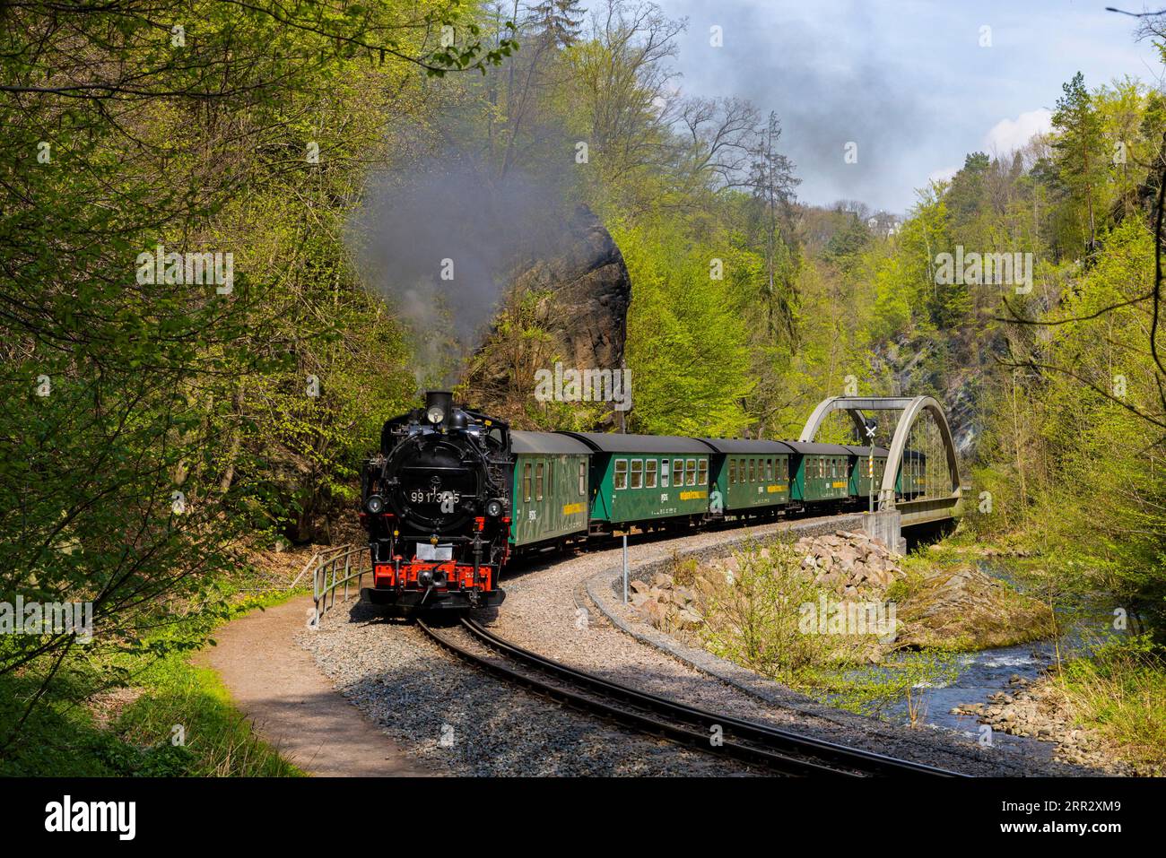 La Weisseritztalbahn è la seconda più antica ferrovia a scartamento ridotto della Sassonia e la più lunga ferrovia a scartamento ridotto gestita da enti pubblici in Germania. Foto Stock