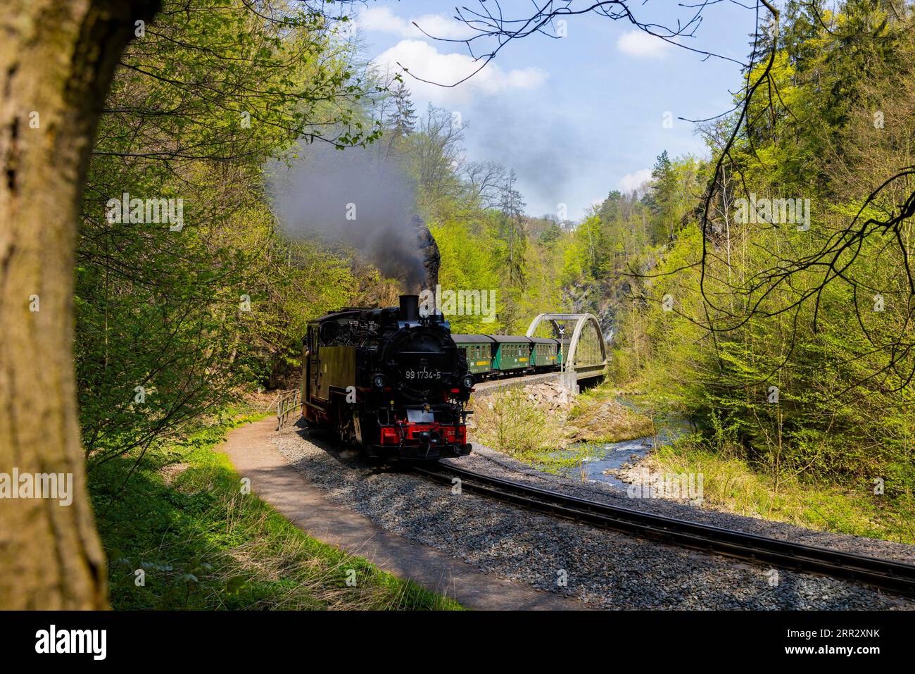 La Weisseritztalbahn è la seconda più antica ferrovia a scartamento ridotto della Sassonia e la più lunga ferrovia a scartamento ridotto gestita da enti pubblici in Germania. Foto Stock