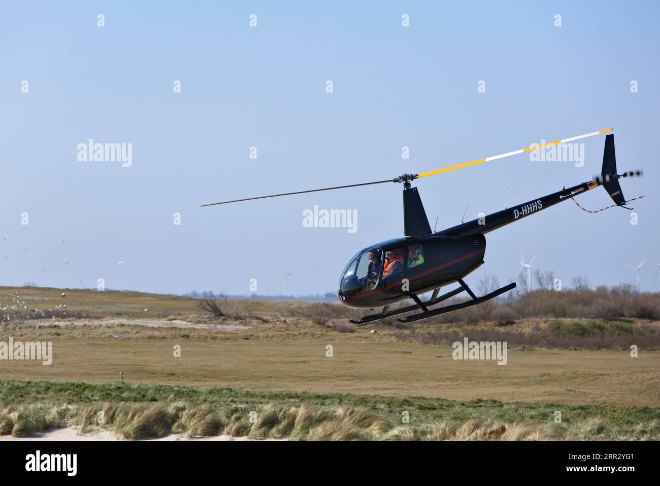 Elicottero sull'isola di Minsener Oog, bassa Sassonia Wadden Sea National Park, bassa Sassonia, Germania Foto Stock