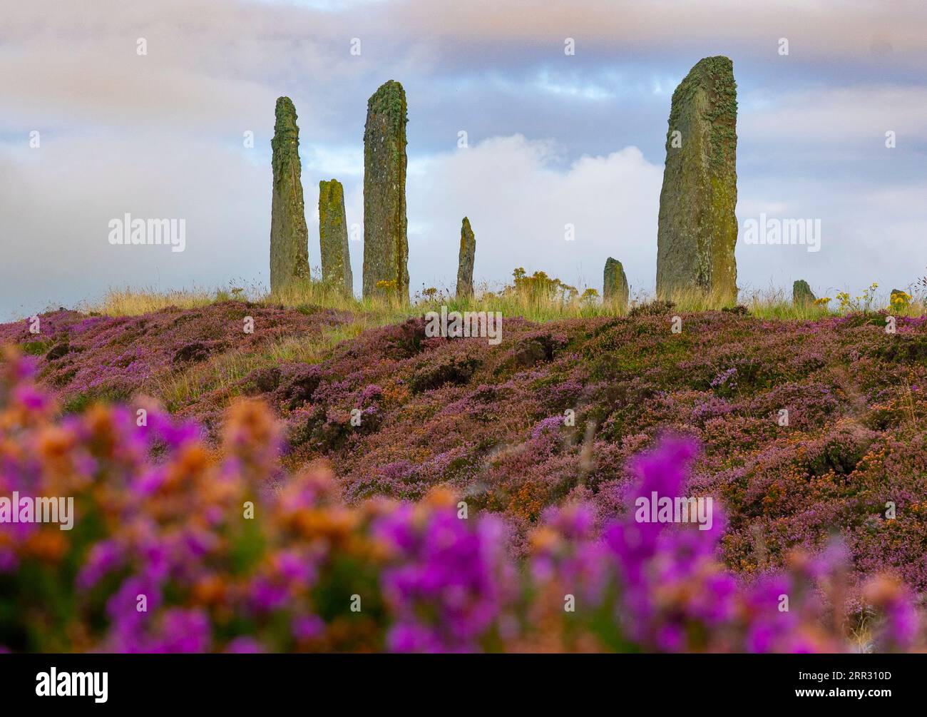 Luce di prima mattina al Ring of Brodgar, henge neolitico e cerchio di pietra sulla terraferma occidentale, Isole Orcadi, Scozia, Regno Unito. Foto Stock
