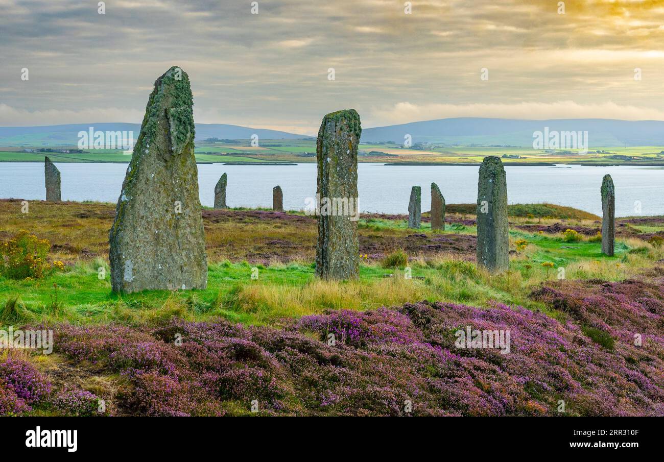 Luce di prima mattina al Ring of Brodgar, henge neolitico e cerchio di pietra sulla terraferma occidentale, Isole Orcadi, Scozia, Regno Unito. Foto Stock