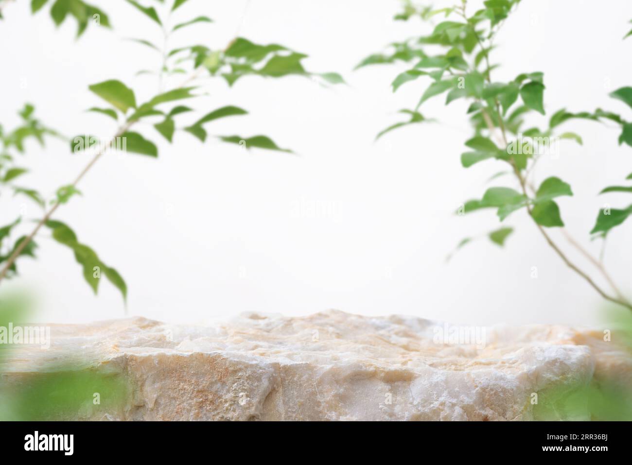 Pavimento del piano in pietra podio foglia verde sfocata su sfondo naturale parete bianca. Bellezza cosmetica posizionamento prodotto naturale display a piedistallo, giungla summ Foto Stock