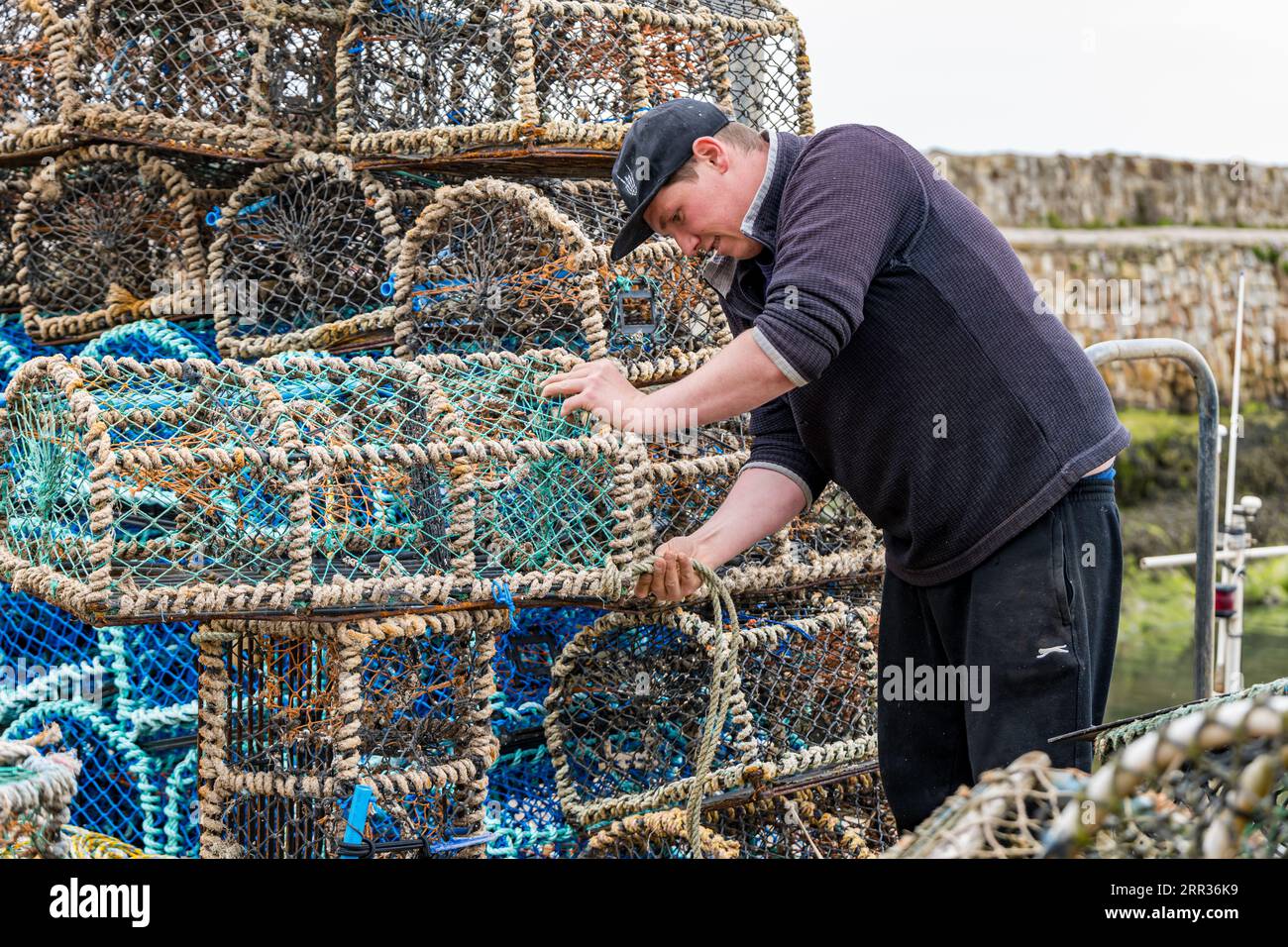 Giovane che ripara vaso di aragosta, gabbia o creel nel porto, St Andrews, Fife, Scozia, Regno Unito Foto Stock