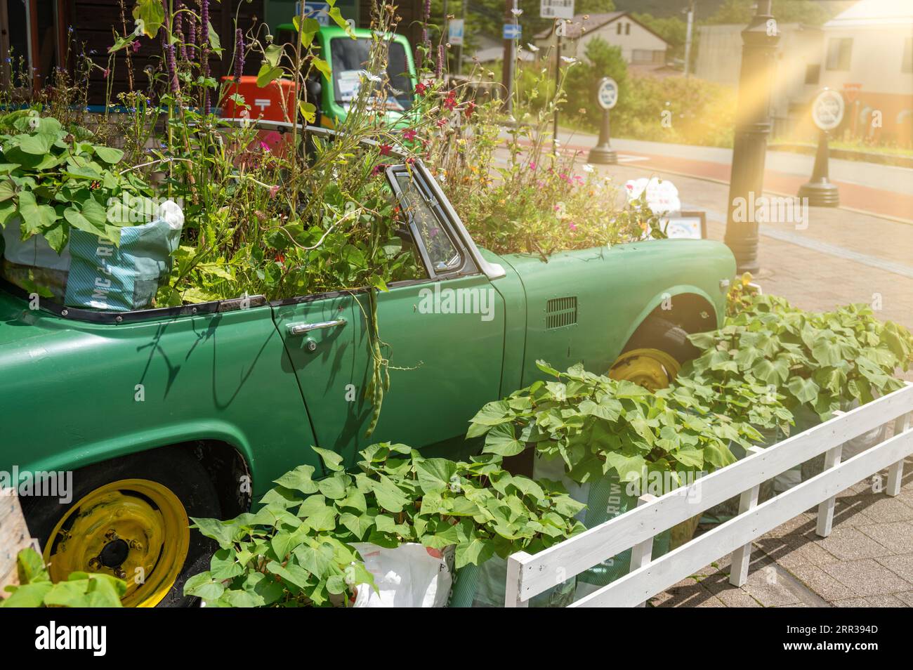 Giardino di fiori su un'auto riciclata per un concetto ecologico. Giardinaggio su un'auto spazzatura per riciclare un'idea. Foto Stock