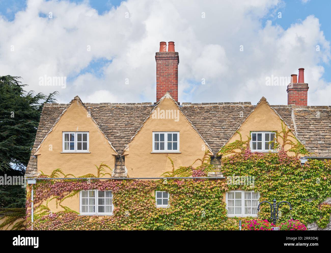 Muro rivestito di edera al Trinity College, Università di Oxford, Inghilterra. Foto Stock
