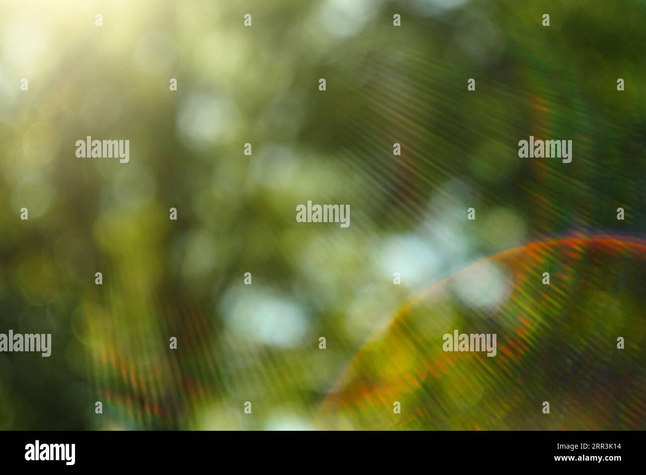 Riflessi da un leggendario obiettivo vintage con palline bokeh e luce solare. Splendida natura e sfondo stagionale Foto Stock