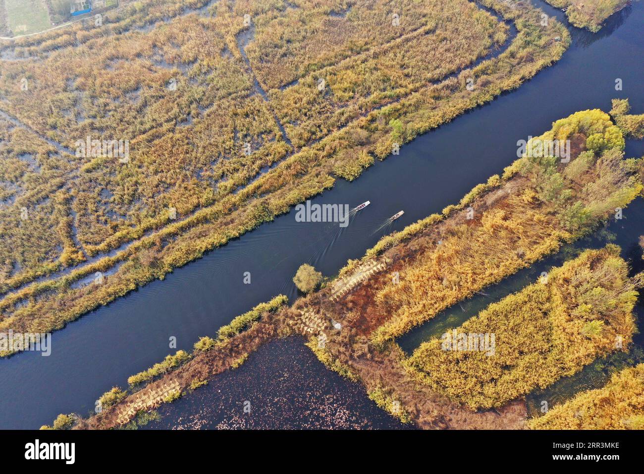 201107 -- PECHINO, 7 novembre 2020 -- foto aerea scattata il 5 novembre 2020 mostra lo scenario del lago Baiyangdian a Xiongan, nella provincia di Hebei nel nord della Cina. Con una governance efficace, l'ambiente ecologico del lago Baiyangdian è migliorato molto negli ultimi anni. XINHUA FOTO DEL GIORNO MuxYu PUBLICATIONxNOTxINxCHN Foto Stock