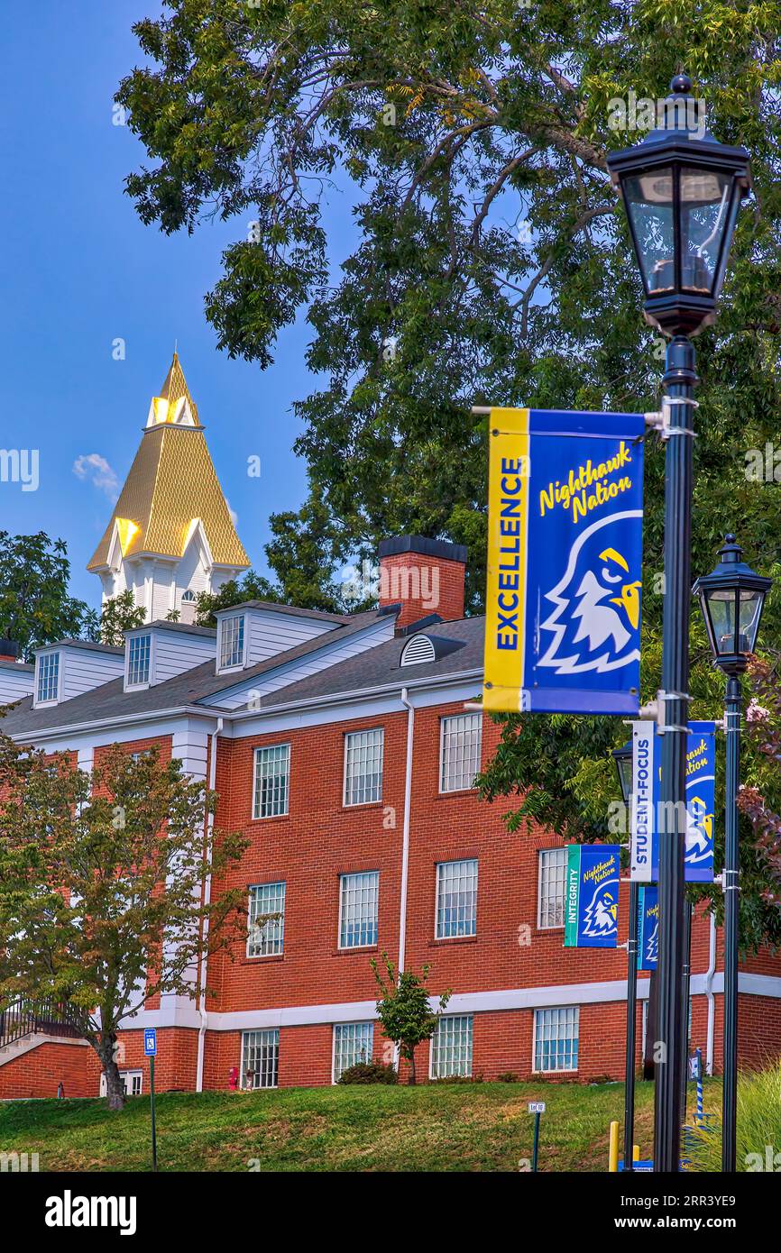 Le Nuove Insieme Tuta Calcio Chicago Bulls Rosso/Nero 2024/2025 Prezzo - Foto 8