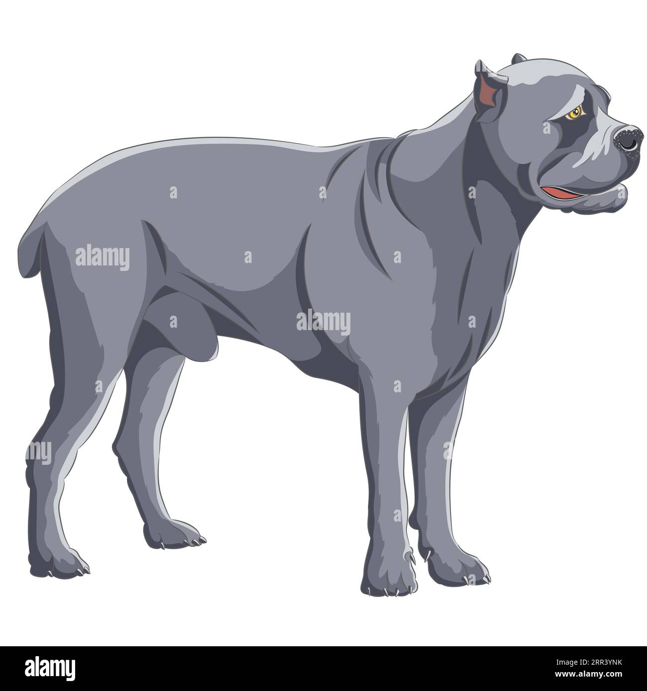 Big Dog cane corso di colore grigio in un rack su sfondo bianco. Illustrazione vettoriale. Illustrazione Vettoriale
