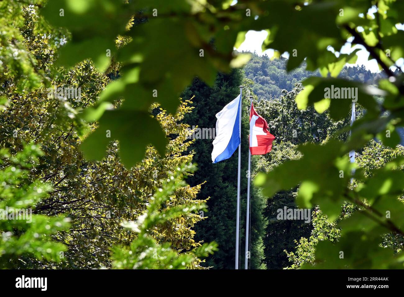 Due bandiere del Canton Zurigo e della Svizzera che volano al vento tra la vegetazione verde come sfondo. Foto Stock