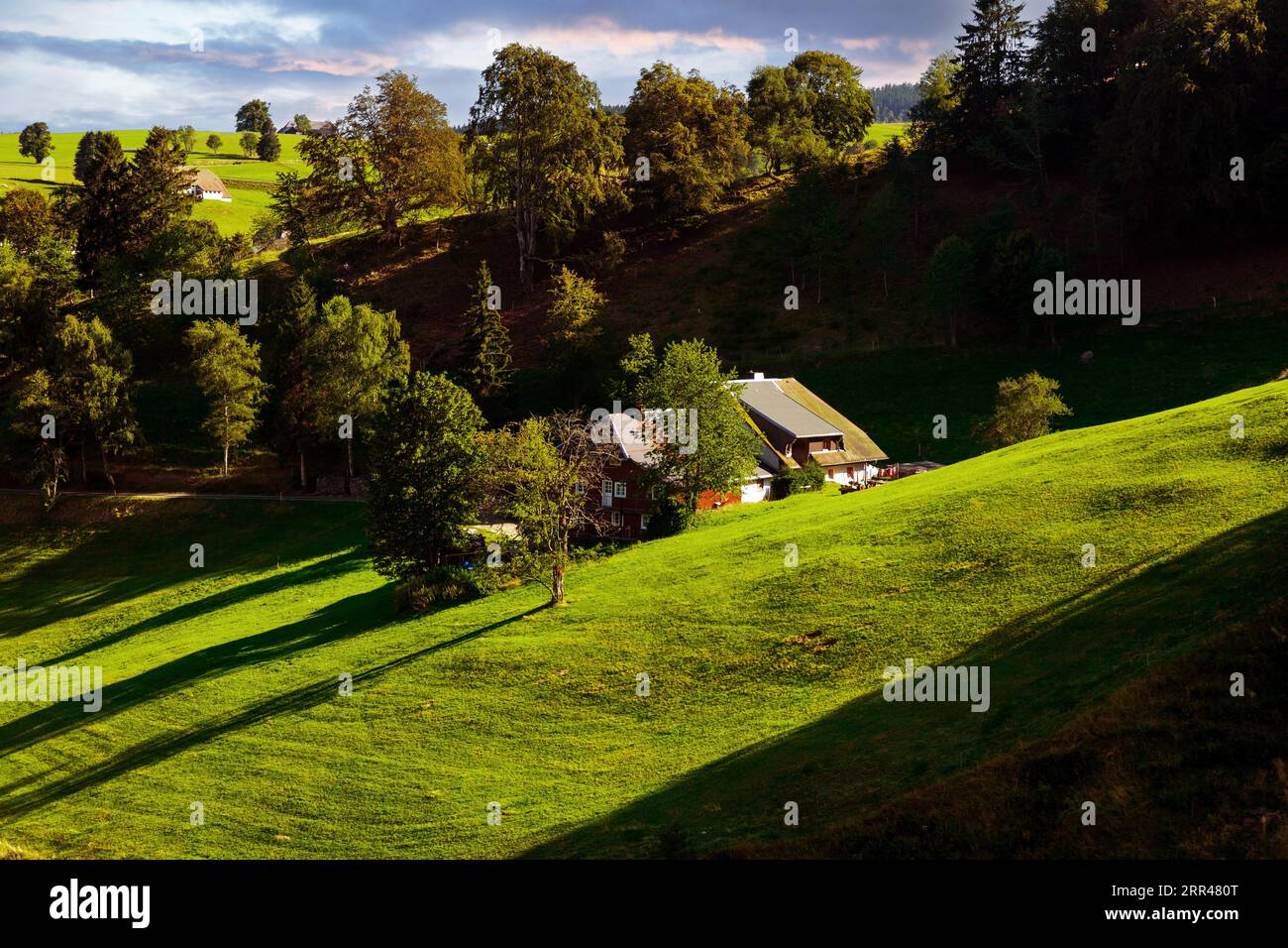 Einsame Bauernhof im Schwarzwald Foto Stock