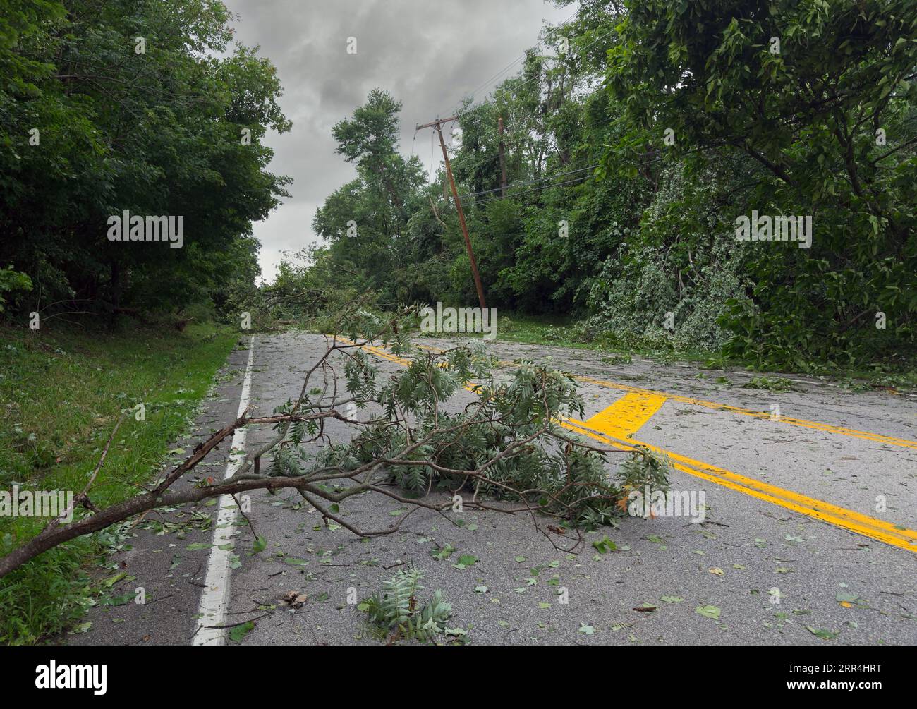 Un albero abbattuto e rami bloccano una strada in una città dell'Ohio dopo una forte tempesta durante la notte. Foto Stock