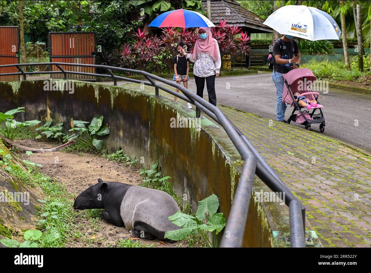 201219 -- KUALA LUMPUR, 19 dicembre 2020 -- le persone visitano lo zoo di Negara vicino a Kuala Lumpur, Malesia, 19 dicembre 2020. Lo Zoo Negara ha riaperto al pubblico il 18 dicembre dopo due mesi di chiusura forzata dall'ordine di controllo dei movimenti condizionale CMCO nella zona. In base alle valutazioni attuali, lo zoo rimarrà aperto come da programma con una capacità ridotta di 1.250 visitatori. Foto di /Xinhua MALAYSIA-COVID-19-ZOO NEGARA-RIAPRI ChongxVoonxChung PUBLICATIONxNOTxINxCHN Foto Stock