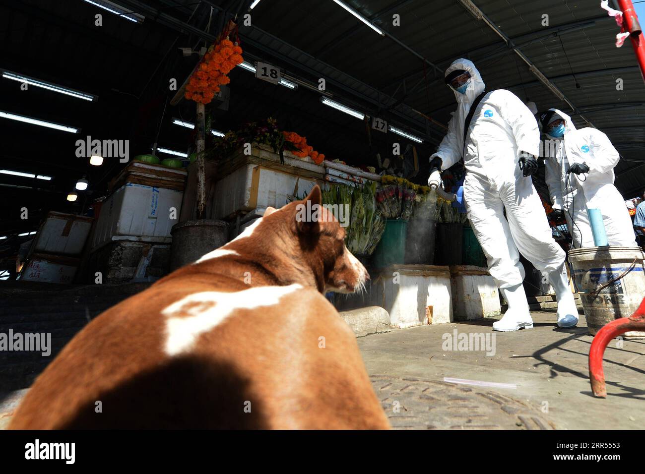 201223 -- PECHINO, 23 dicembre 2020 -- personale spray disinfettante in un mercato nella provincia di Samut Sakhon, Thailandia, 21 dicembre 2020. Lunedì la Thailandia ha riportato altri 382 casi confermati di infezione da coronavirus, secondo il Center for the Covid-19 Situation Administration CCSA. Del totale, 360 erano lavoratori migranti del Myanmar, che sono risultati positivi alle unità di test mobili condotte da funzionari sanitari pubblici nella provincia di Samut Sakhon, dove ha avuto origine l'ultima epidemia di COVID-19. XINHUA FOTO DEL GIORNO RachenxSageamsak PUBLICATIONxNOTxINxCHN Foto Stock