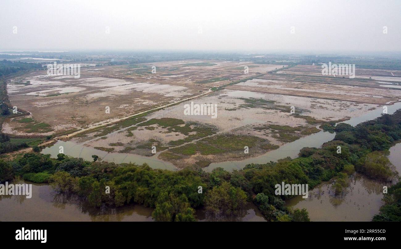 201223 -- HAIKOU, 23 dicembre 2020 -- foto aerea scattata il 23 dicembre 2020 mostra alberi di mangrovie appena piantati nel parco paludoso di Sanjiang a Haikou, nella provincia di Hainan nella Cina meridionale. Il progetto di riabilitazione ecologica delle zone umide di Dongzhaigang è stato realizzato di recente, secondo l'Autorità della riserva naturale nazionale di Dongzhaigang a Haikou. Avviato il 18 marzo 2019, il progetto mirava a riabilitare efficacemente i sistemi ecologici, tra cui le foreste di mangrovie lungo la costa di Dongzhaigang, in modo che gli uccelli migranti nel paese possano trovare habitat migliori in inverno. CHINA-HAINAN-HAIK Foto Stock