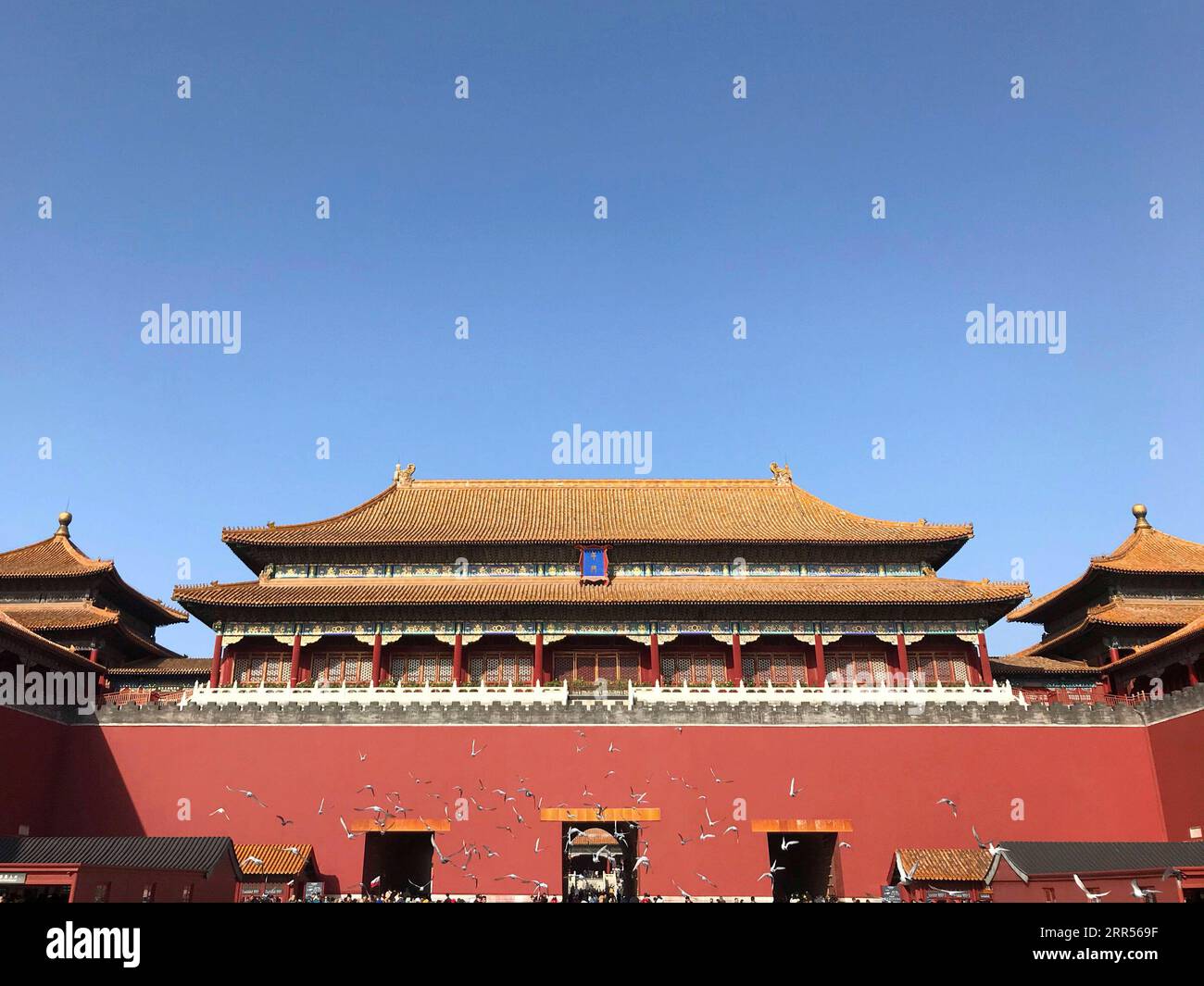201224 -- PECHINO, 24 dicembre 2020 -- la foto scattata con un telefono cellulare mostra una vista nel Museo del Palazzo di Pechino, capitale della Cina, 10 novembre 2019. L'anno 2020 segna il 600° anniversario della città Proibita. Costruita tra il 1406 e il 1420, la città Proibita misura 961 metri da nord a sud e 753 metri da est a ovest, coprendo un'area di circa 720.000 metri quadrati. Caratterizzato da pareti rosse e tegole con vetri gialli, rappresenta il culmine della tradizionale architettura sontuosa cinese, influenzando gli sviluppi culturali e architettonici nell'Asia orientale e nelle aree circostanti. Foto Stock