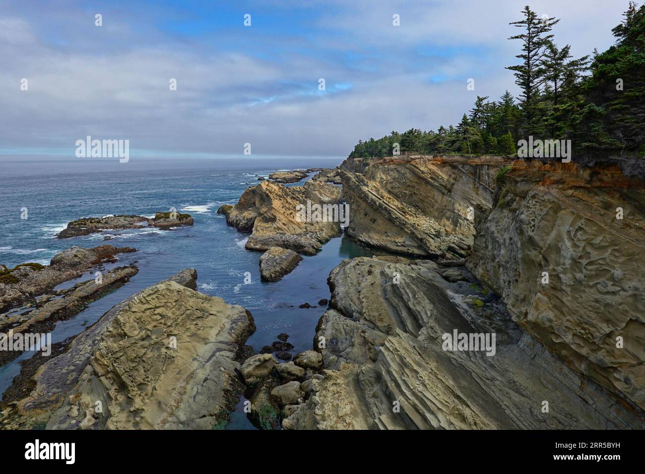 Costa dell'Oregon presso lo Shore Acres State Park Foto Stock