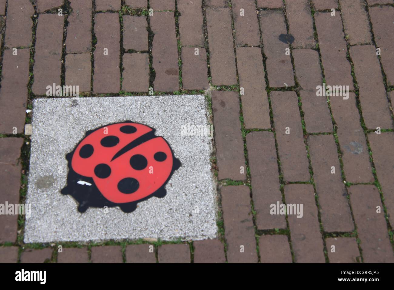 Bel disegno di una coccinella per le strade di Venlo Foto Stock