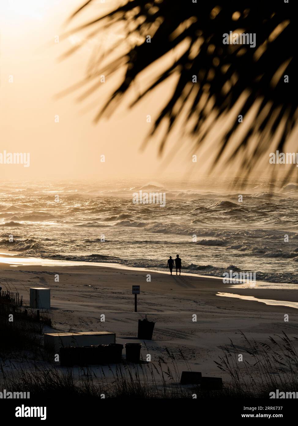 Coppia che cammina lungo una spiaggia deserta o vuota all'alba, con le onde del Golfo del Messico che arrivano nei loro piedi a Destin Florida, Stati Uniti. Foto Stock