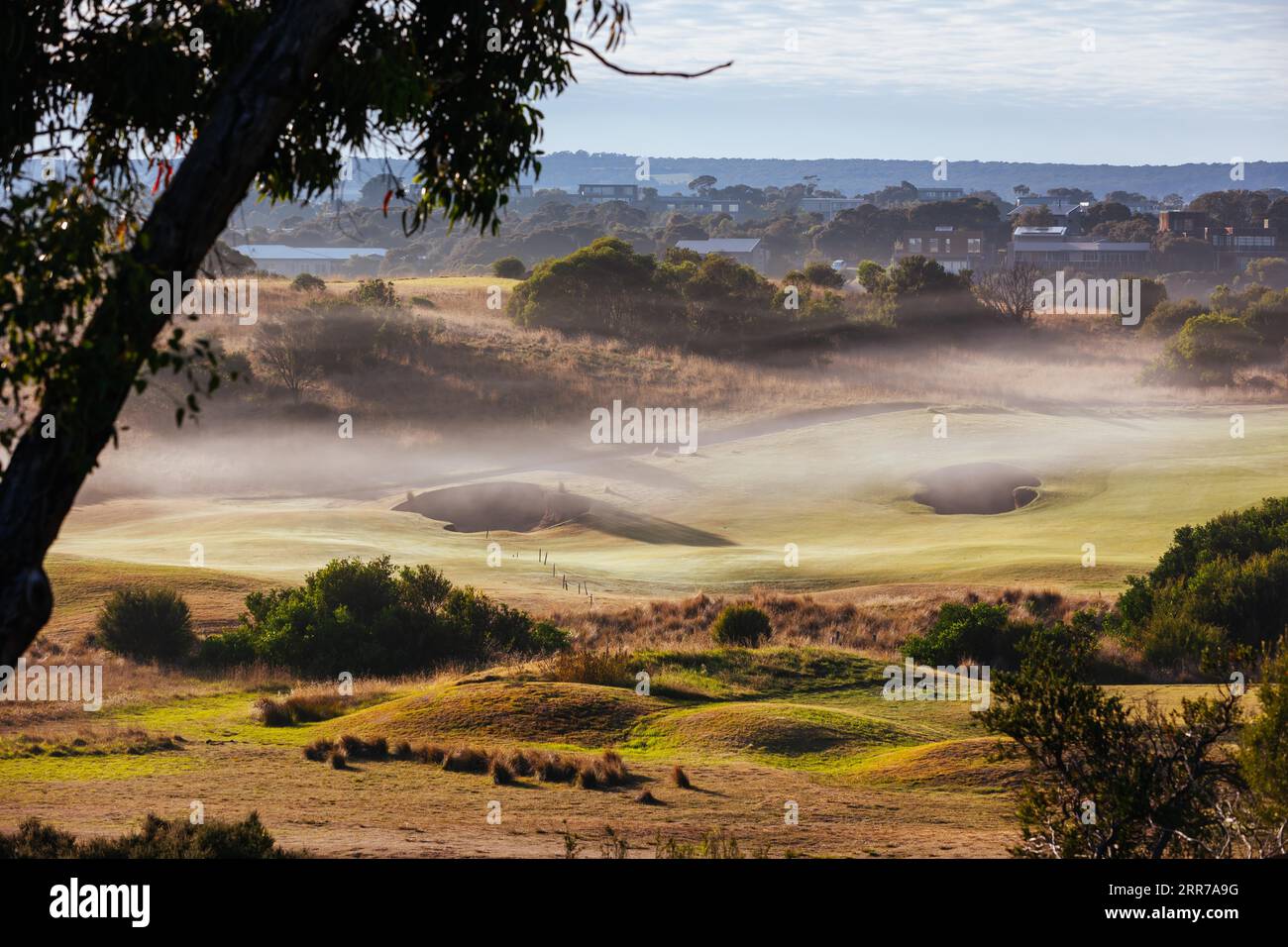 Un campo da golf sulla penisola di Mornington in una mattinata autunnale a Victoria, Australia Foto Stock