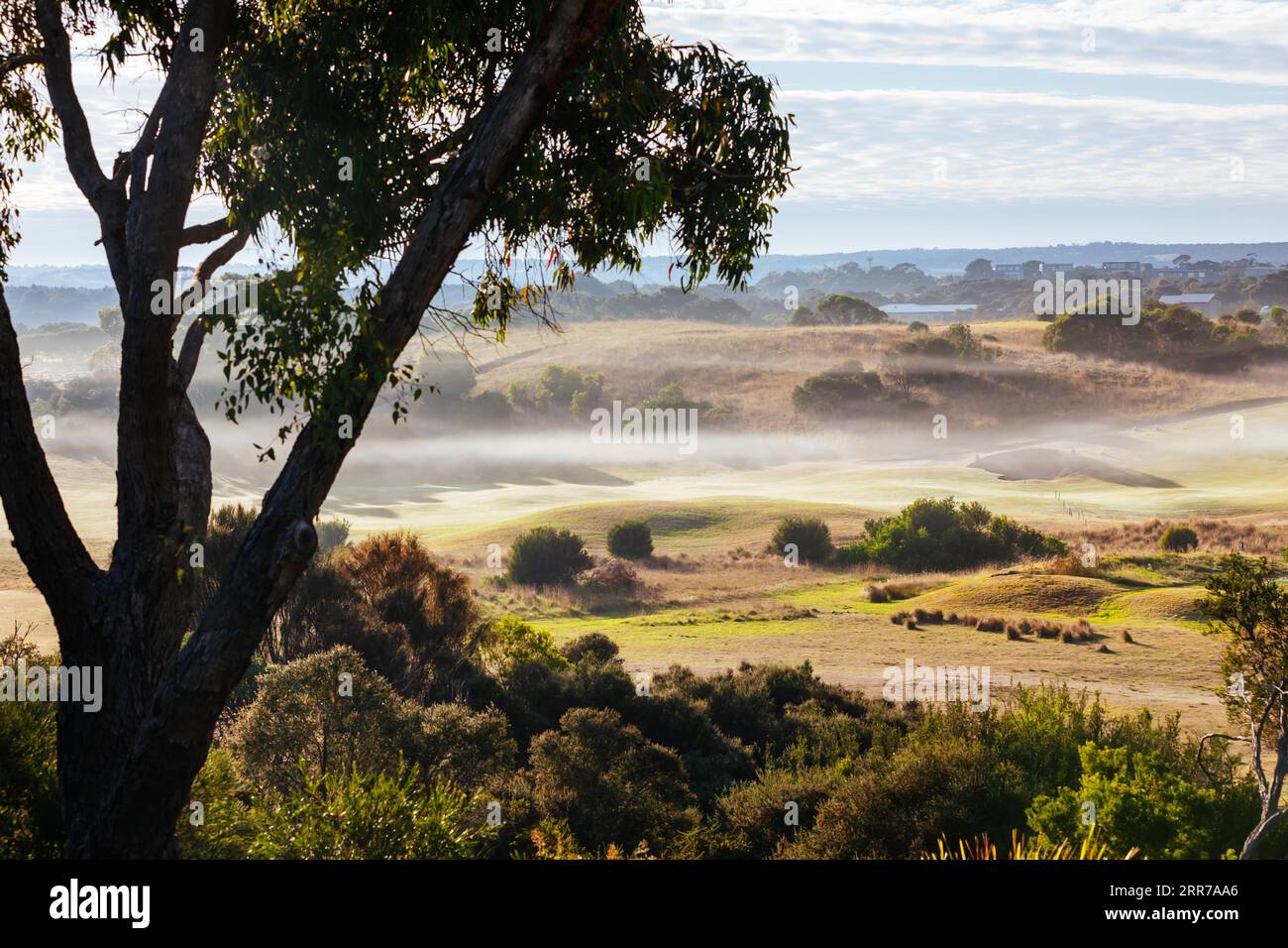 Un campo da golf sulla penisola di Mornington in una mattinata autunnale a Victoria, Australia Foto Stock