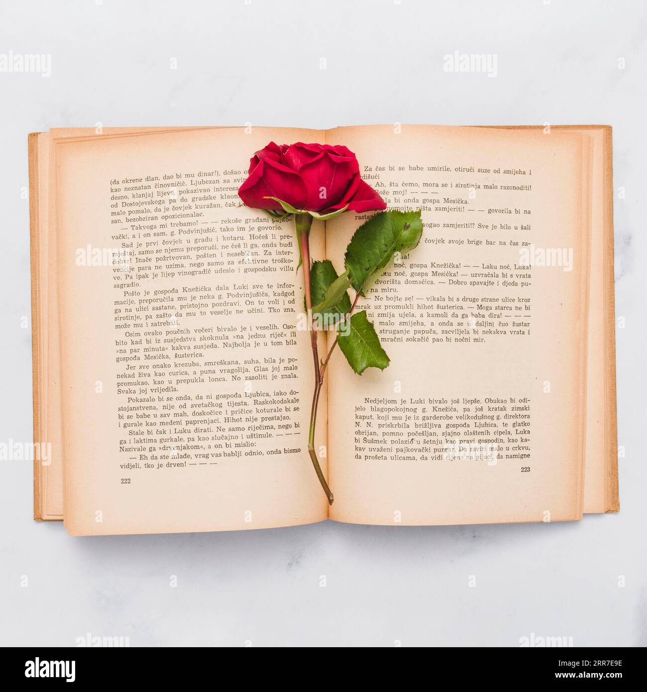 Rosa libro vista dall'alto Foto Stock