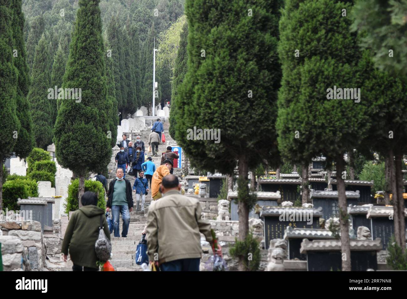 210401 -- JINAN, 1 aprile 2021 -- le persone visitano il cimitero di Yuhanshan per rendere omaggio ai morti prima del Festival di Qingming a Jinan, provincia dello Shandong della Cina orientale, 1 aprile 2021. Il giorno delle tombe, noto anche come Festival di Qingming, che cade il 4 aprile di quest'anno, è un festival cinese in cui le persone rendono omaggio ai morti e adorano i loro antenati visitando tombe e facendo offerte. CHINA-JINAN-QINGMING-TOMBE-SPAZZARE CN ZHUXZHENG PUBLICATIONXNOTXINXCHN Foto Stock
