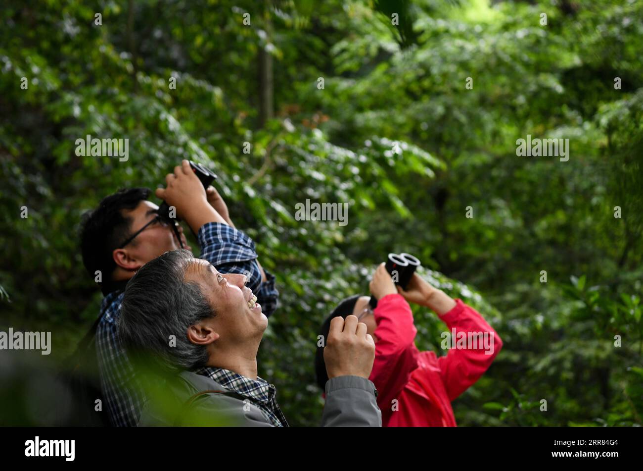 210417 -- CHENGDU, 17 aprile 2021 -- li Cehong, Xie Kongping e GU Haiyan da davanti a dietro osservano l'Holcoglossum omeiense selvatico sul Monte Emei a Leshan, nella provincia del Sichuan della Cina sud-occidentale, 13 aprile 2021. Come specie endemica nell'area del Monte Emei, holcoglossum omeiense è classificato come specie a rischio di estinzione e specie vegetali con popolazioni estremamente piccole PSESP. È elencato nella China Species Red List, nella China Biodiversity Red List e nelle rare and Endangered Plants in China, e quindi chiamato panda del regno vegetale. Ricercatori come li Cehong e GU Haiyan sono stati dedicati alla protezione di Th Foto Stock